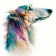  an elegant watercolor painting of a Borzoi dog, depicted in a detailed close-up, against a white background
