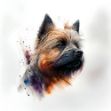 a painting of a Cairn Terrier on a white background