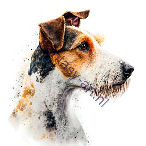 a close-up of a Fox Terrier on a white background