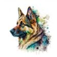 a watercolor painting of a german shepherd