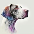 a close-up of a Pointer dog's head on a white background, a digital painting