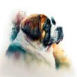 a close-up of a Saint Bernard on a white background, a digital painting