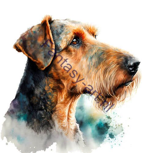 A close-up of an Airedale Terrier in a three-quarter profile on a white background, a hyperrealistic watercolor illustration with intricate details of the dog's face and ears.