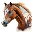 A beautiful photorealistic digital painting of a Sorrel Pinto horse, captured in stunning detail with airbrush techniques and rich acrylic colors. The clear background and white background provide a modern and sophisticated look.