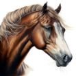 Hyperrealistic airbrush painting of a Red Dun horse with a wind-swept mane and white head in a three-quarter profile. 
