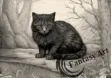 Mesmerizing black cat on a rock in a magical woodland setting, pencil illustration with a gray color scheme.